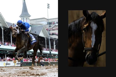 Expert Picks: Who Will Win the Kentucky Derby .